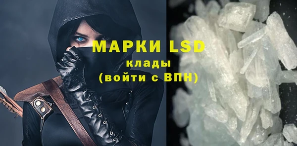 стаф Зерноград