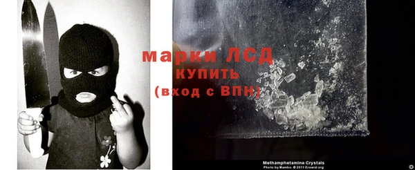 стаф Зерноград