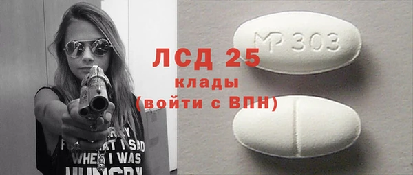 стаф Зерноград