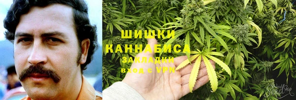 стаф Зерноград