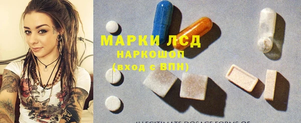стаф Зерноград
