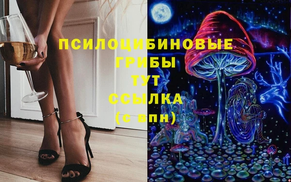 герыч Зеленодольск