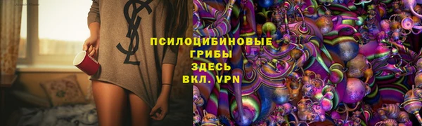 гидра Зеленокумск