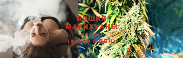 гидра Зеленокумск