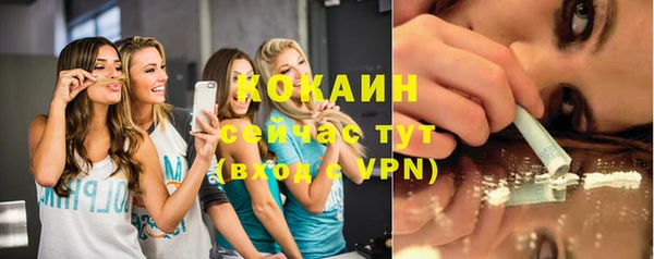 гидра Зеленокумск