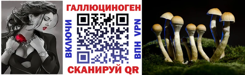 Галлюциногенные грибы Magic Shrooms  Купить  Канск 